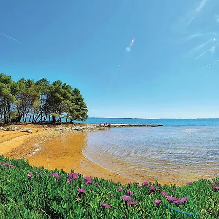 Cozy In With Wifi Vir