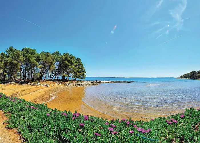 Cozy In With Wifi 비르